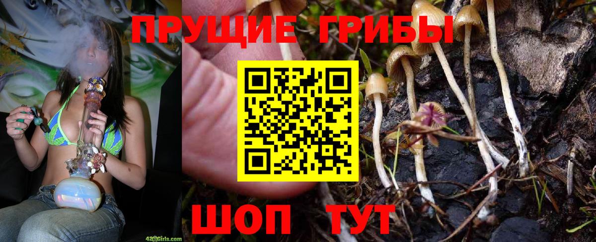 Полысаево  Галлюциногенные грибы Psilocybe  Вход с VPN 