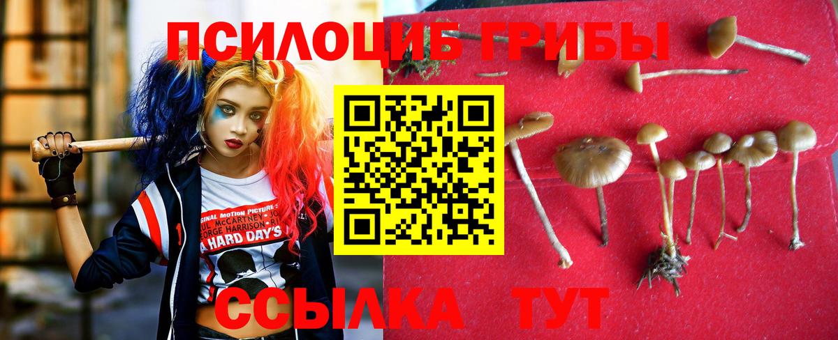 Галлюциногенные грибы Magic Shrooms Полысаево